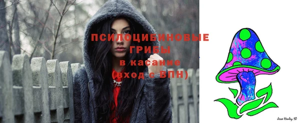эйфоретик Белоозёрский