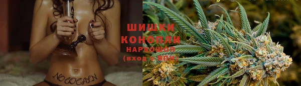 твердый Богданович