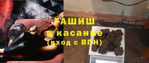 твердый Богданович