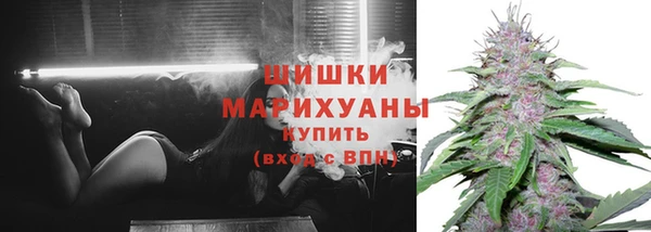 трава Белокуриха
