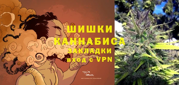 трава Белокуриха