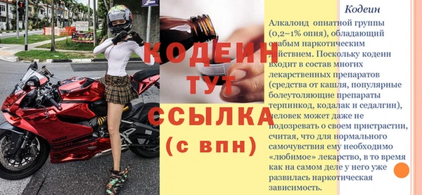 трава Белокуриха