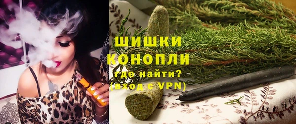 твердый Богданович