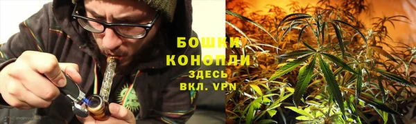 эйфоретик Белоозёрский